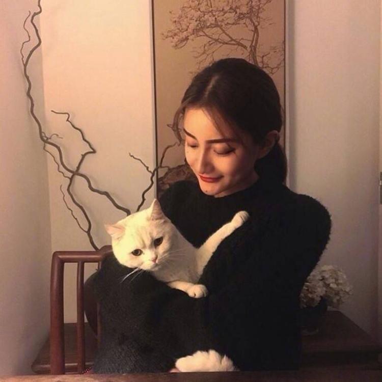 吉田俊司 - 少儿动画片免费在线观看 - 网页影视
